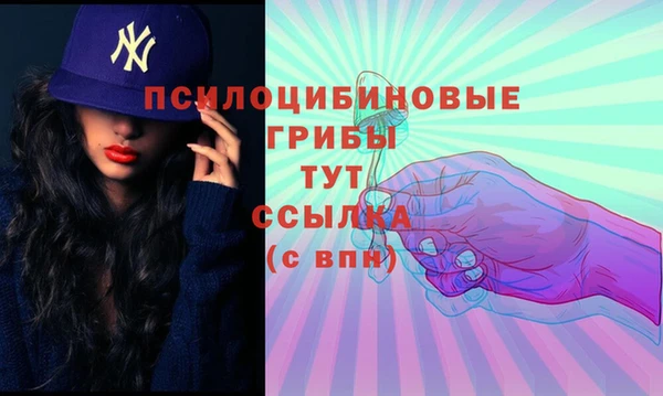 шишки Мегион